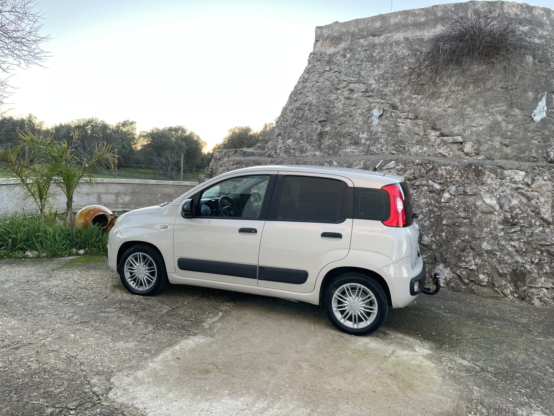 PANDA24